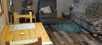 Pleasant cabin with AC in Brainerd - 2 bed.
shower ,fridge, fire pit, 