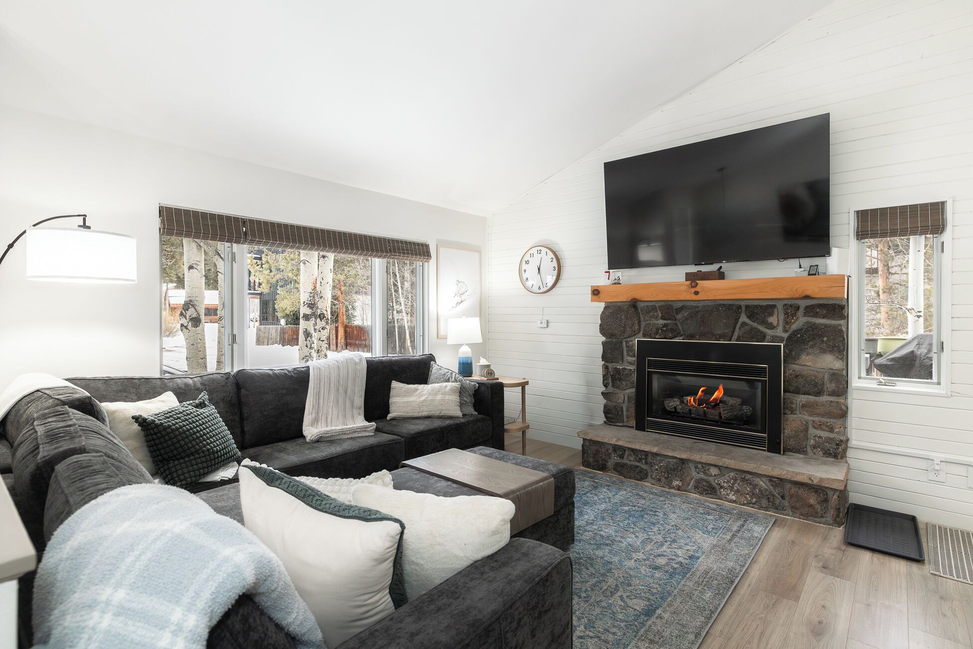 Smart TV, fireplace, video games, books