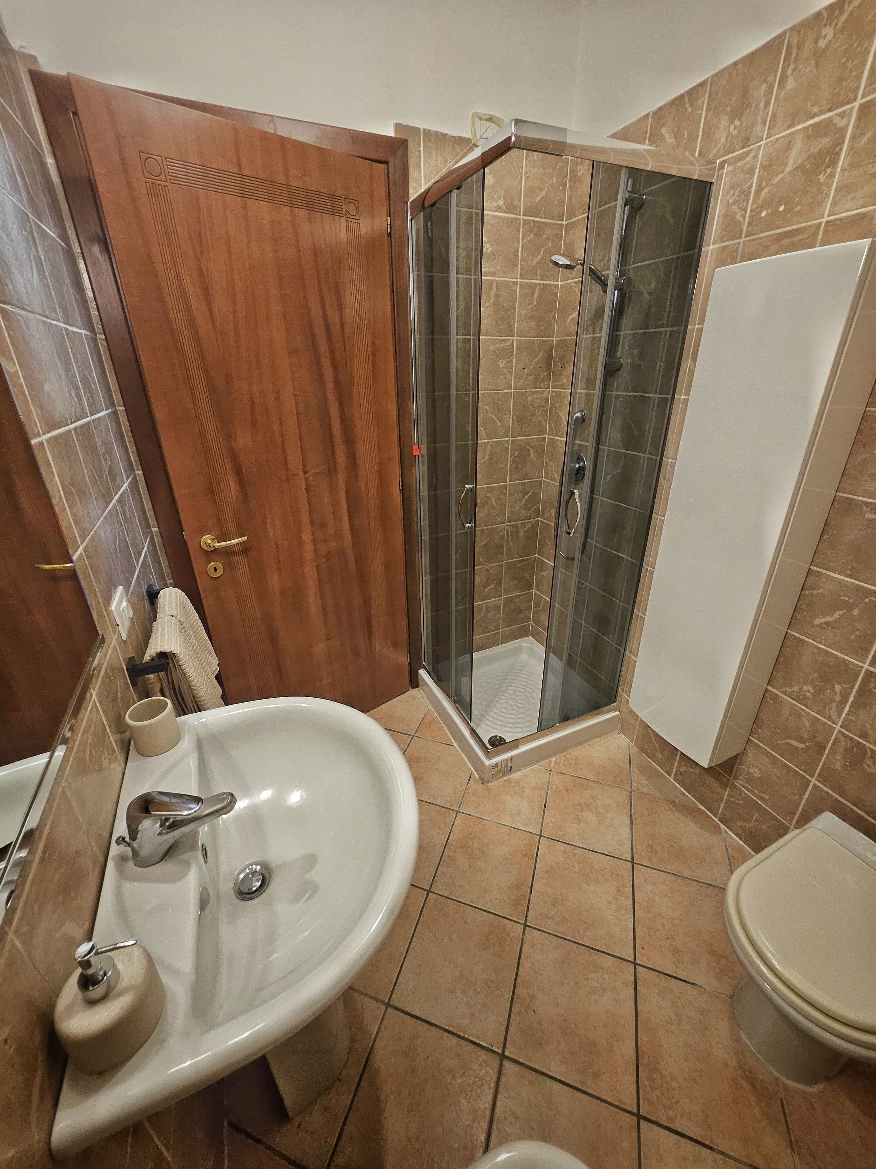 A bathroom with a wooden door, a glass shower enclosure, a sink with a soap dispenser, and a toilet.