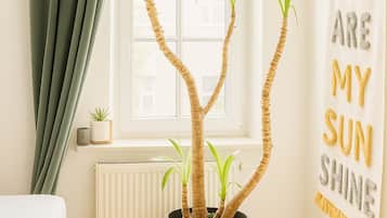 1 bedroom, WiFi, bed sheets