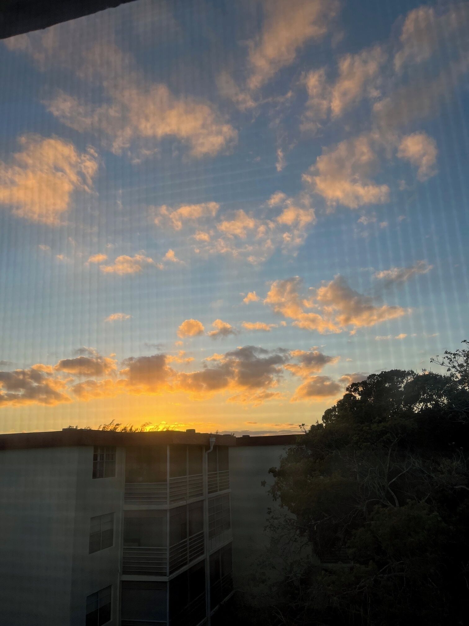 Ein Gebäude mit flachem Dach und vielen Fenstern, umgeben von Bäumen und einem klaren Himmel mit Wolken.