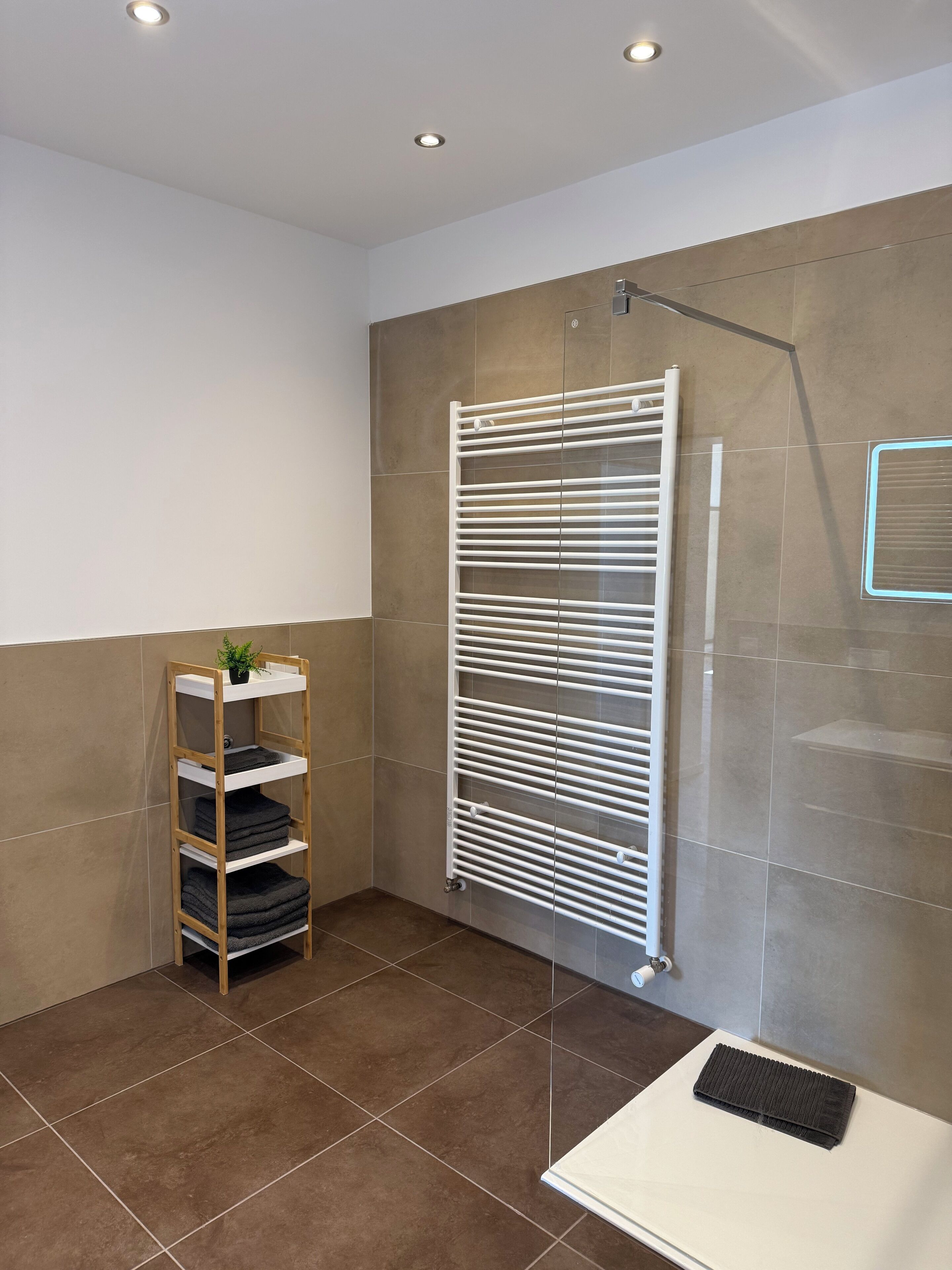 Une salle de bain moderne avec une douche à parois de verre, un porte-serviettes blanc et une étagère en bois où sont posées des serviettes.