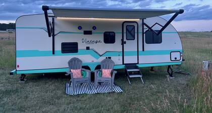 Turquoise Tilly - It's a VIBE!