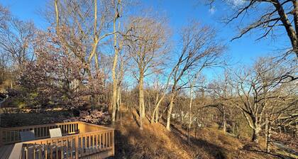 Scenic & Serene: 3BR/3BA w Panoramic Hudson Views! A Birder's paradise