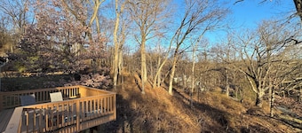 Scenic & Serene: 3BR/3BA w Panoramic Hudson Views! A Birder's paradise