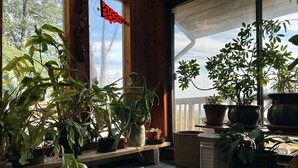 A wooden porch with potted plants and a colorful rug. - Scenic & Serene: 3BR/3BA w Panoramic Hudson Views! A Birder's paradise (Croton-on-Hudson)
