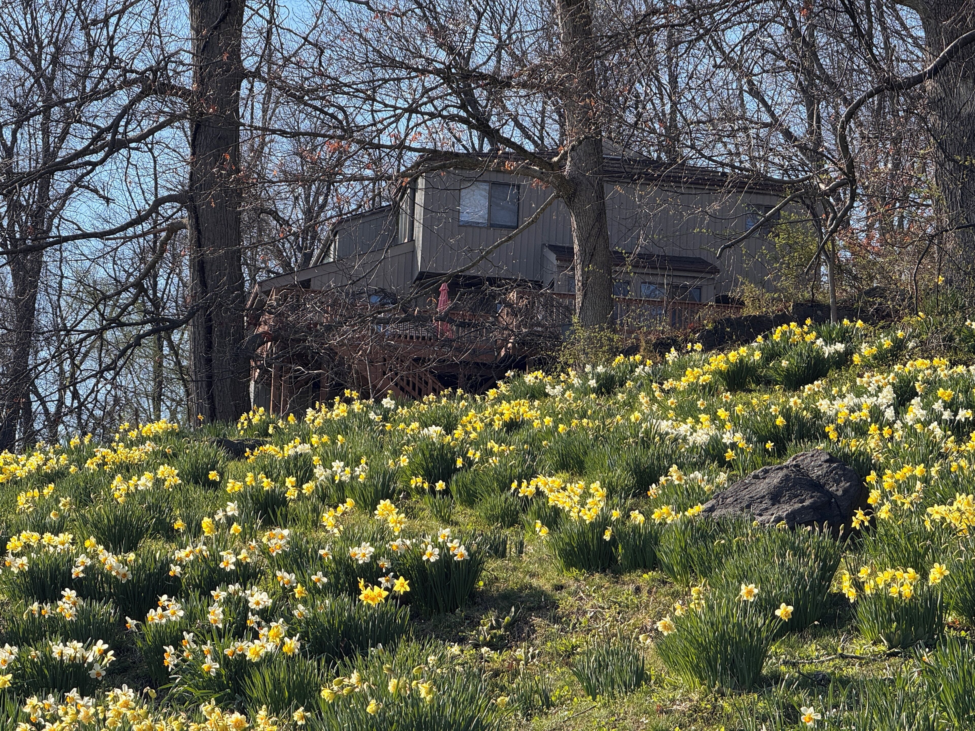 المنطقة المحيطة بالمنشأة