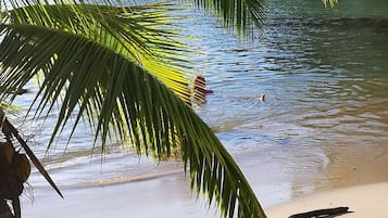 On the beach, sun-loungers