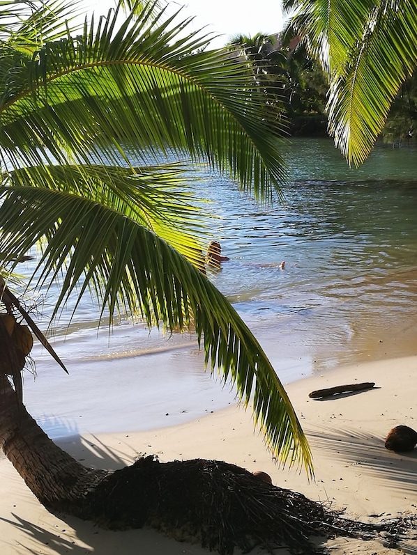En la playa, sillas reclinables de playa