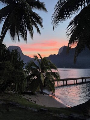 A beach scene with palm trees, a wooden pier, and mountains in the background.