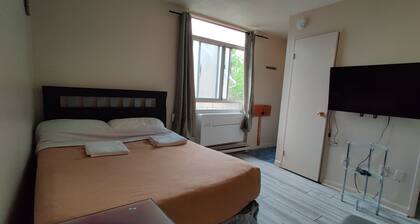 Junior Studio Apartment Near Dundas Station and Eaton Centre