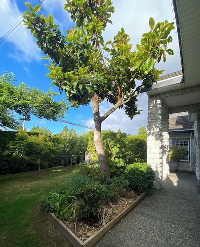 Sunny Home in White Rock Resort