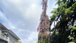 Exterieur