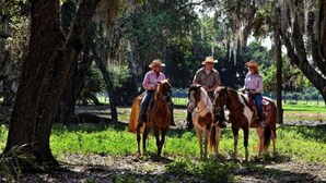 Three people riding horses in a wooded area with trees and grass. - Unique, River Ranch & Rodeo, Fl  2 Cabins, Nov_Dec Enjoy Exhilarating Activities (River Ranch)