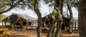 Unique,River Ranch Fl  2 Cabins Nov1-7 & 1 15-22. Enjoy Exhilarating Activities!
