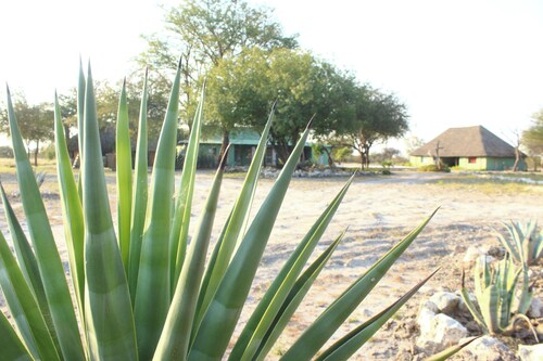 Spacious 9-bedroom building in wonderful Otavi with AC