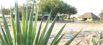 Spacious 9-bedroom building in wonderful Otavi with AC