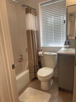 Hair dryer, towels, soap, toilet paper
