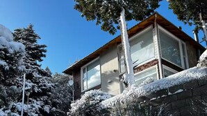 Un barrio residencial cubierto de nieve, con una casa, un automóvil y árboles cargados de nieve.