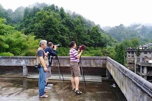 View from property - Fenglinge Hotel (Zhangjiajie)