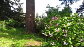 Property grounds - Lovely 2-bedroom 5 Bed house in Coos Bay -Beach -Bay -Lakes near Downtown (Coos Bay)