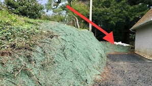 Un camino de grava que lleva a una casa con un montículo verdoso a su lado.