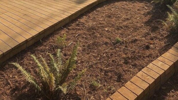 Una casa amarilla con un porche cubierto, una terraza de madera y un árbol grande en primer plano.