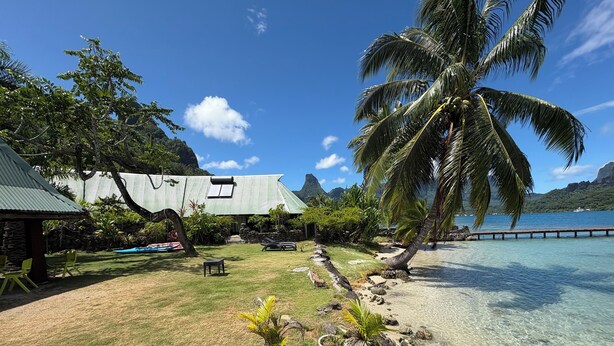 Ein tropisches Resort mit freiem Blick auf das Meer, einer Palme und einem steinernen Weg zum Strand.