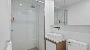 Hair dryer, soap, shampoo, toilet paper