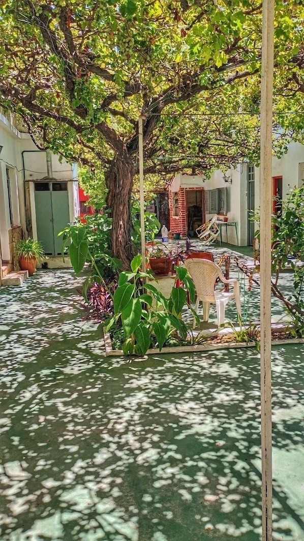 Terras