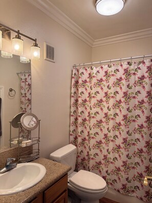 Hair dryer, towels, soap, toilet paper