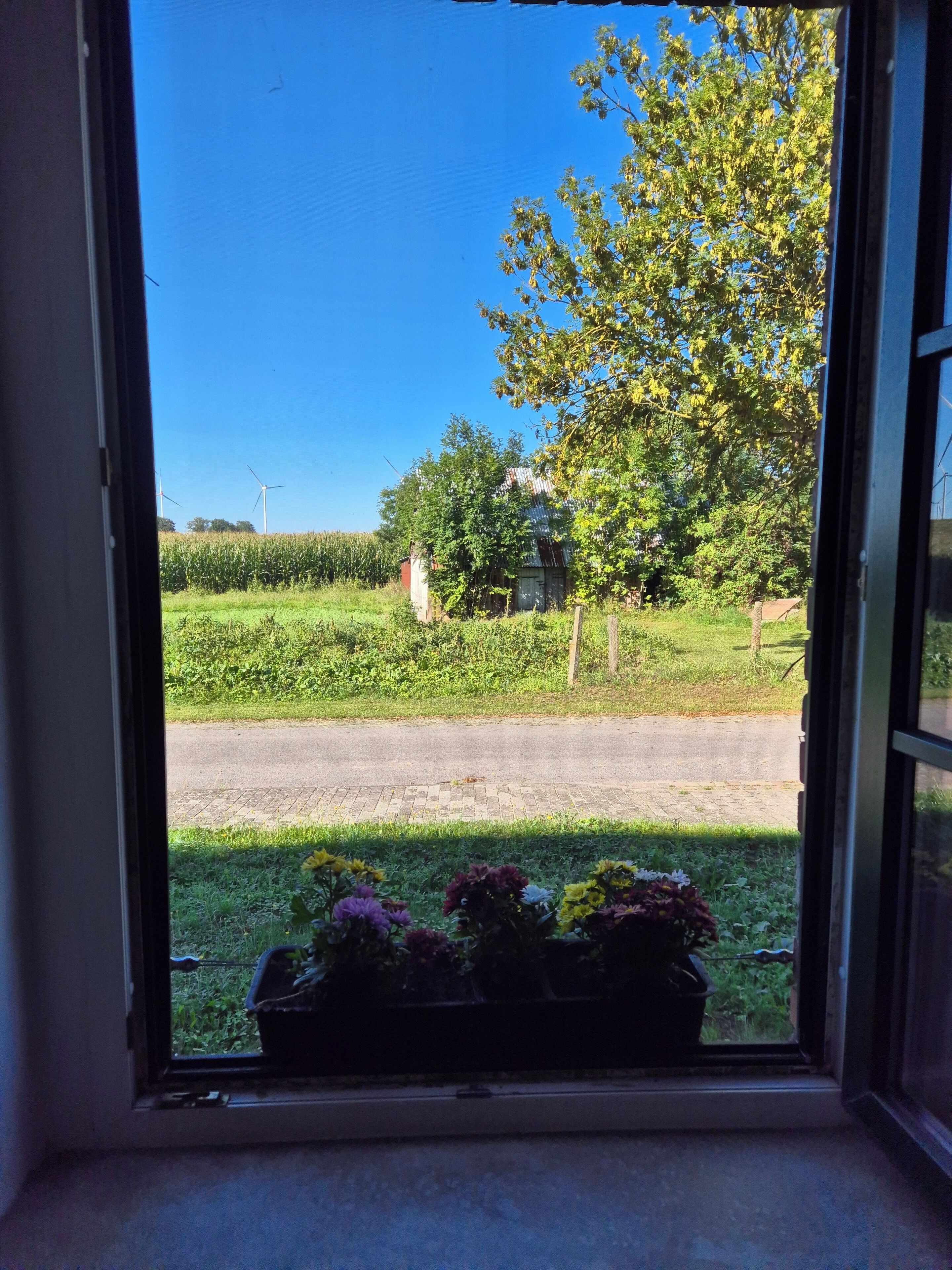 Innvendig