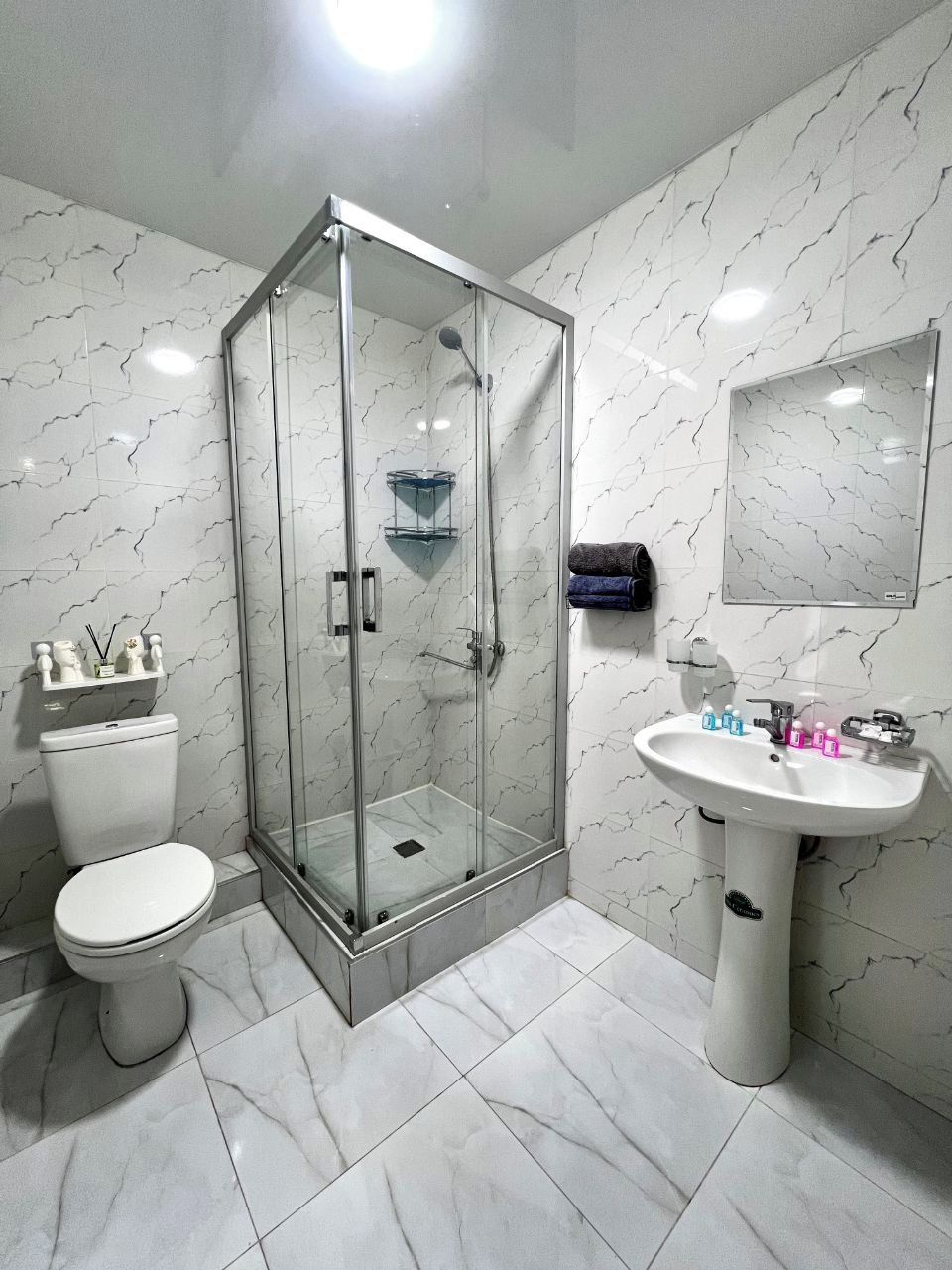 A modern bathroom with a glass-enclosed shower, a pedestal sink, and a toilet.