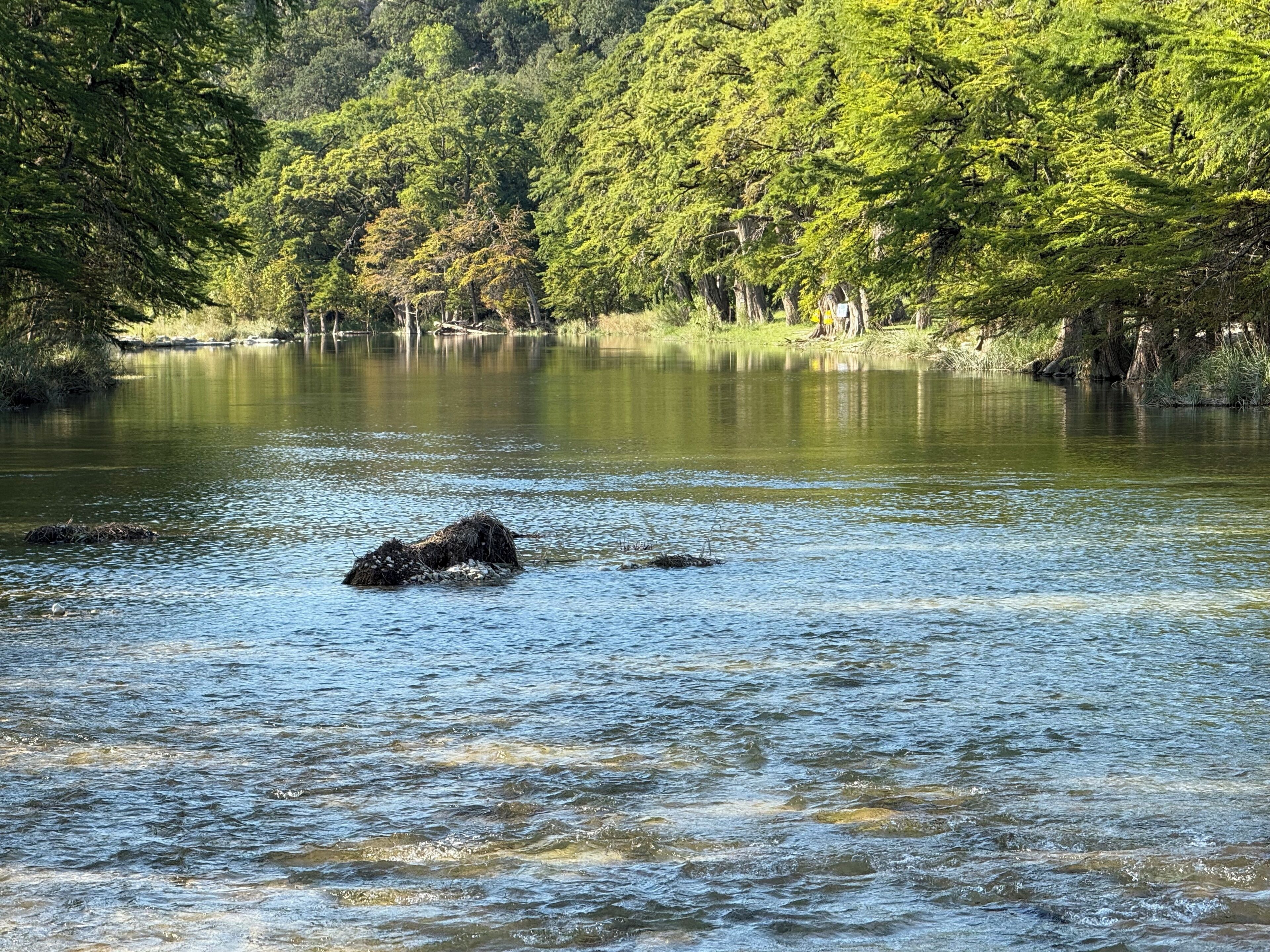 A calm river with trees on the banks.