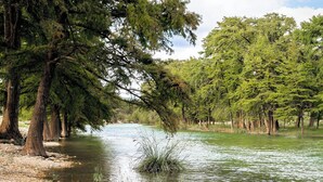 A river with trees on both sides.