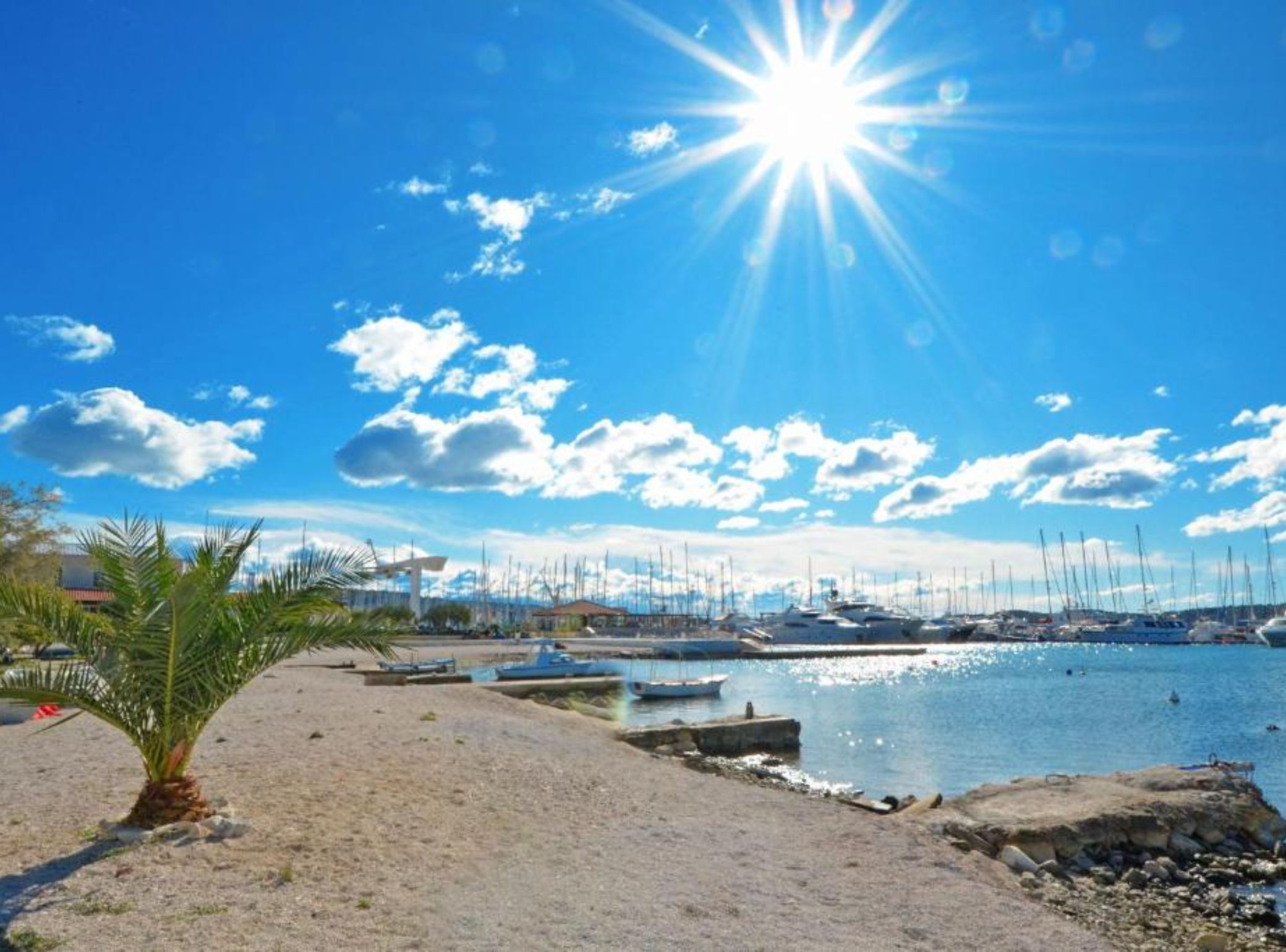 A beach with a clear sky, palm trees, and boats.