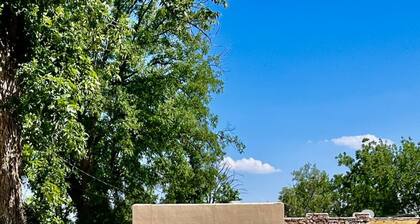 1 king bd with big fenced back yard pets welcome