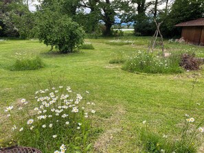 Property grounds - Vacation home on Lake Ammersee for family or vacation with friends, pet-friendly (Pähl)