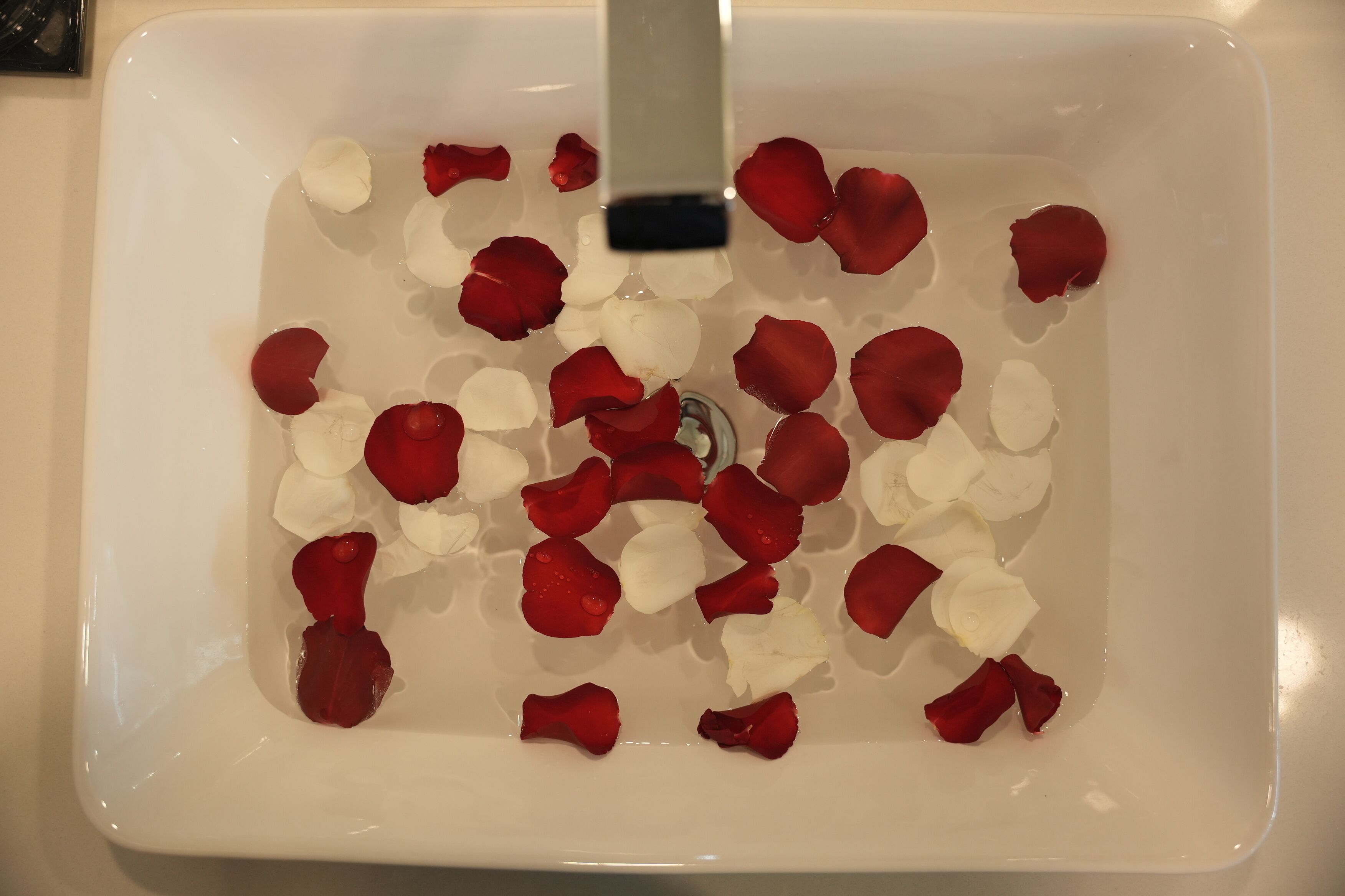 Un lavabo rectangular blanco lleno de agua y pétalos de rosa.