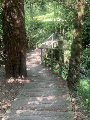 Property grounds - Renovated 80m2 house 5 min from Nantes (Sautron)