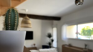 Un cactus en una maceta blanca sobre una superficie de madera en un salón moderno con un sofá, una mesa de comedor y una ventana con luz natural.