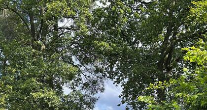 Soothing 1-bedroom studio in Riethoven shared garden