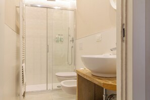 Shower, hair dryer, bidet, towels