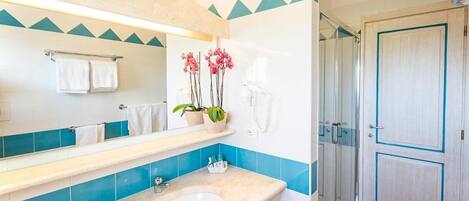 Shower, hair dryer, towels