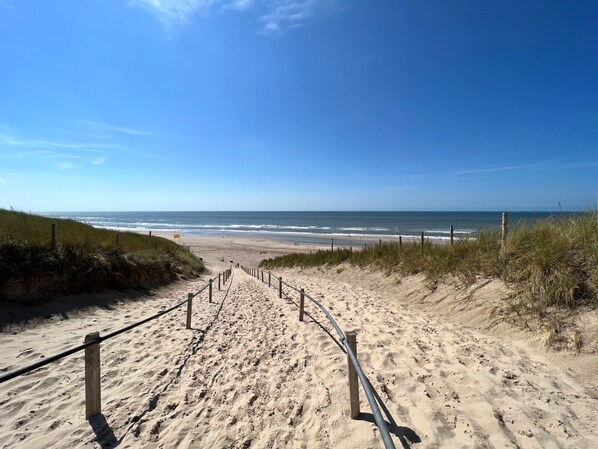 Camastros y toallas de playa