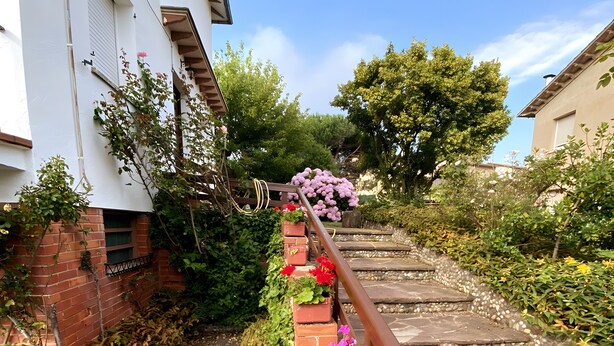 Una escalera de piedra con barandilla de metal, rodeada de follaje y plantas con flores.