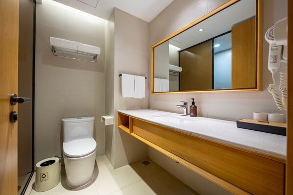 Un bagno moderno con servizi igienici, lavabo e zona doccia.