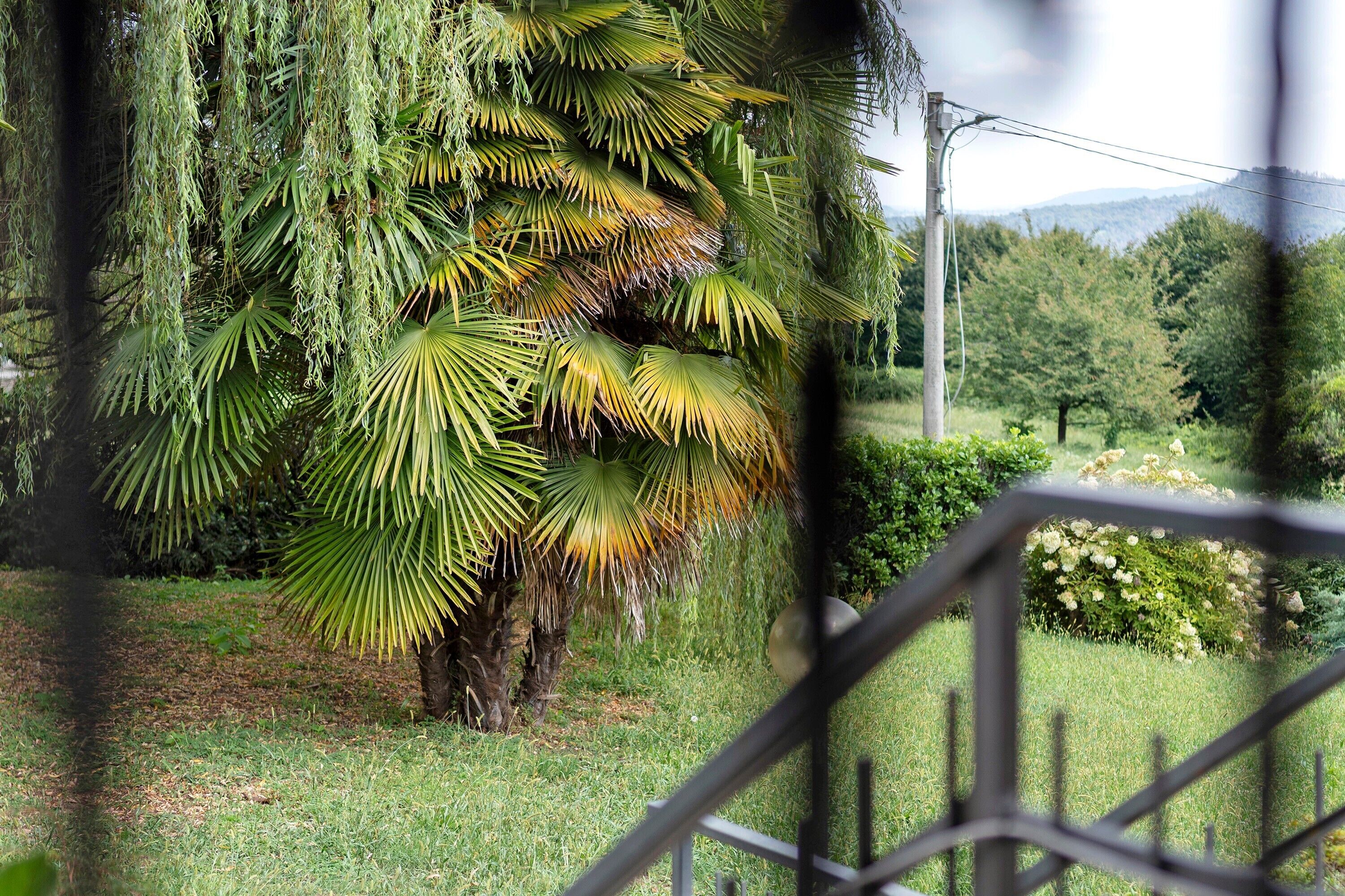 Parco della struttura