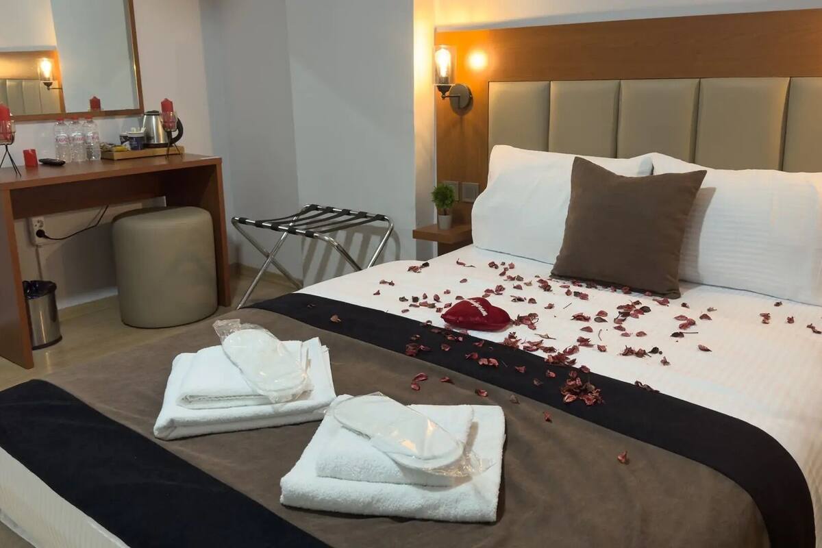 Habitación de hotel con una cama bien hecha, una mesita de noche con una lámpara, una pequeña planta y un cesto de basura.