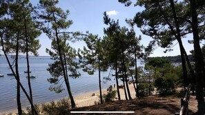 Une plage bordée de pins, une rive sablonneuse et des bateaux sur l’eau.